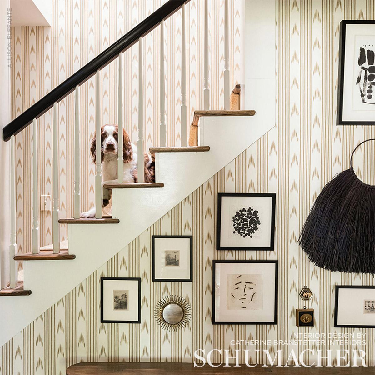 Santa Barbara Ikat
