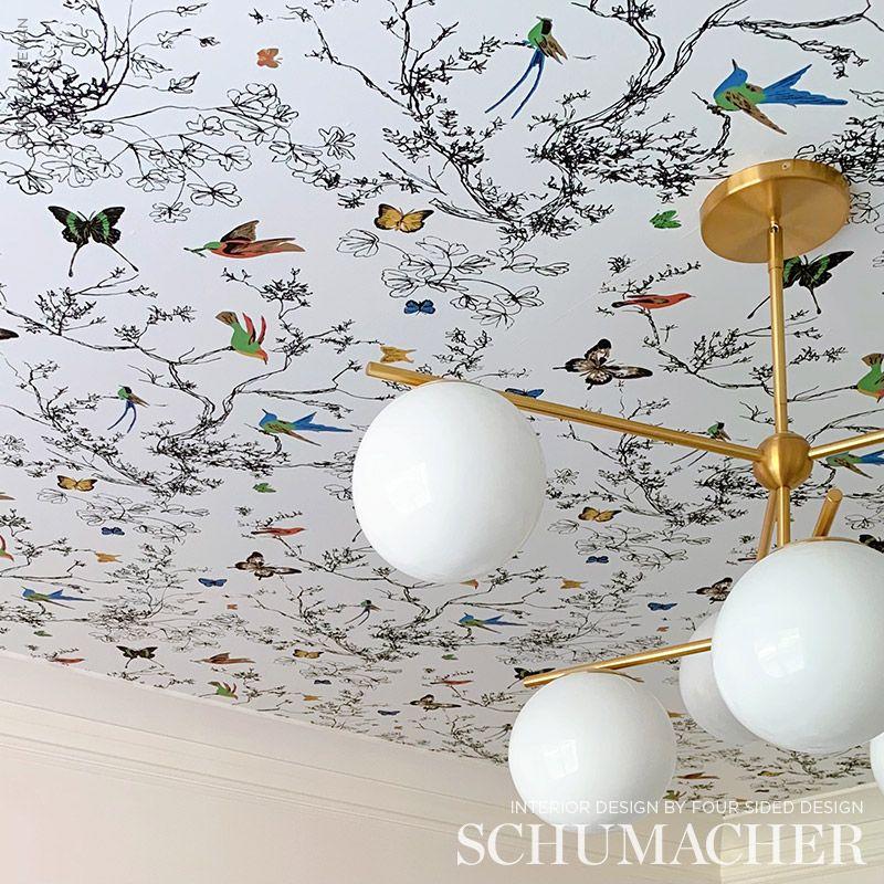 Birds & Butterflies