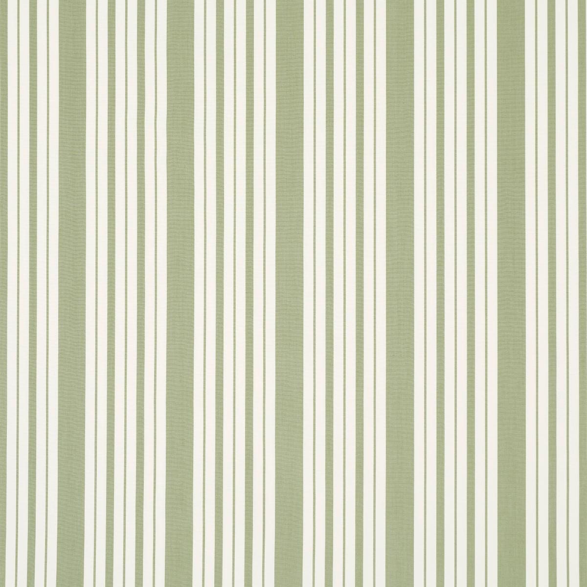 Markie Stripe