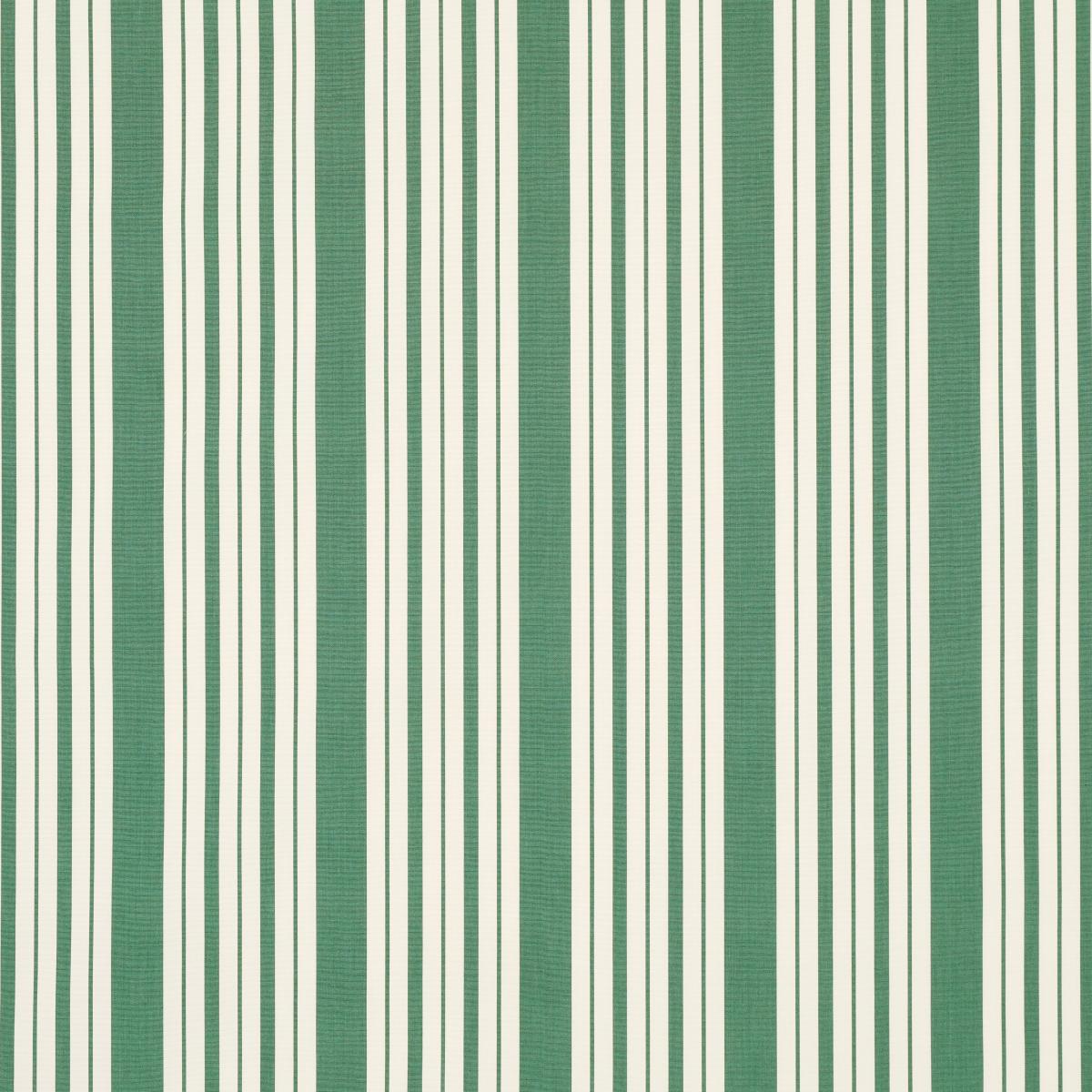 Markie Stripe