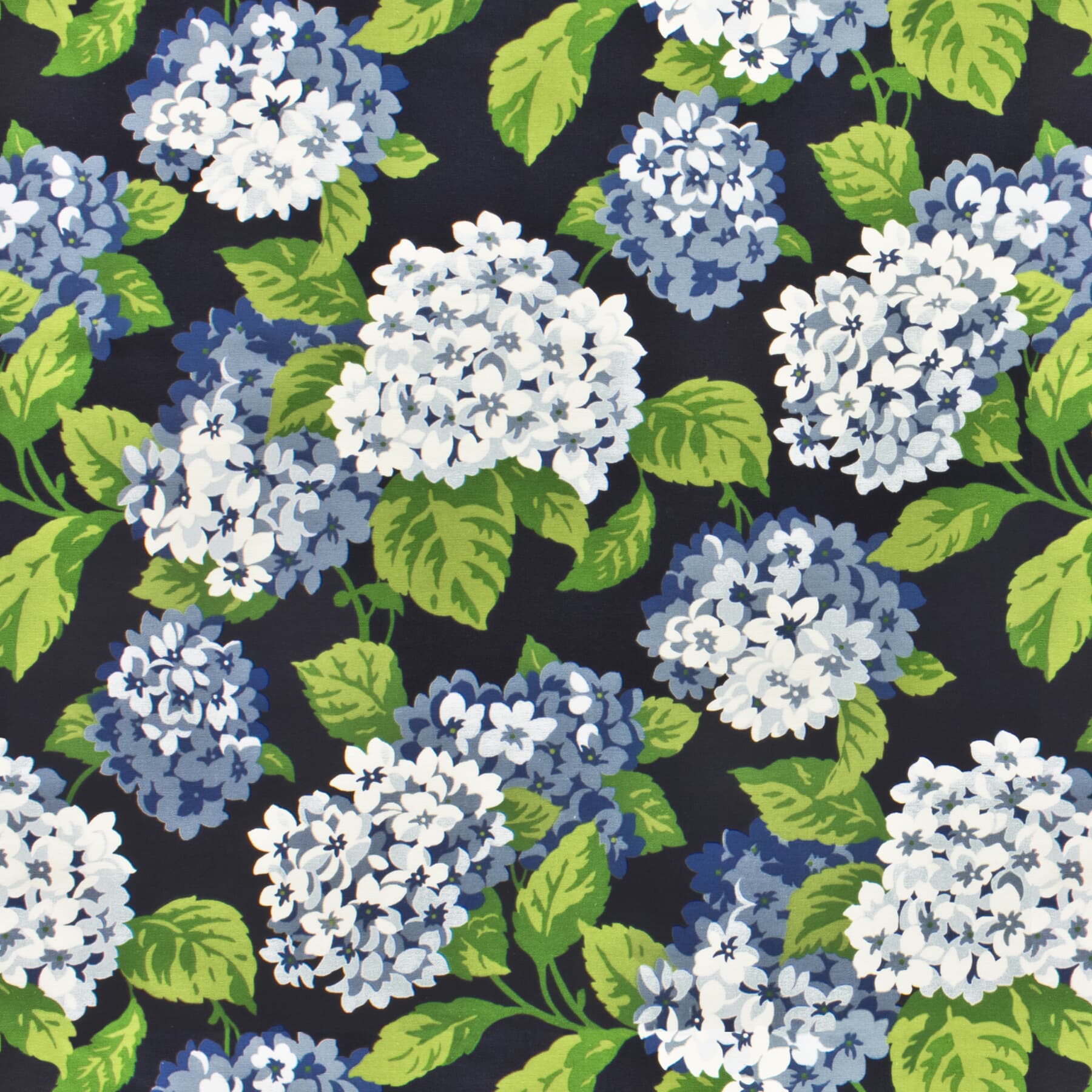 Wedgewood - F