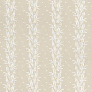 Ensbury Fern - F