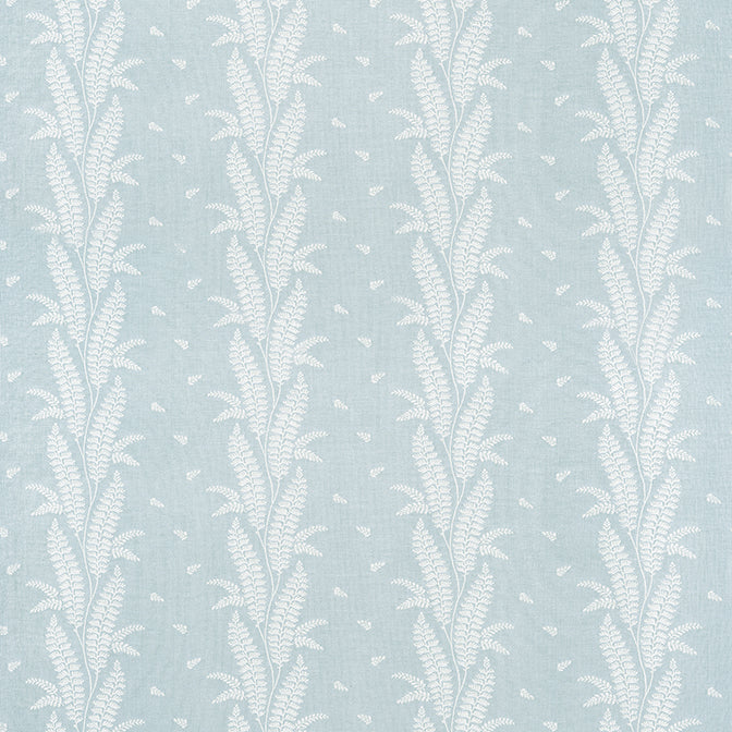 Ensbury Fern - F
