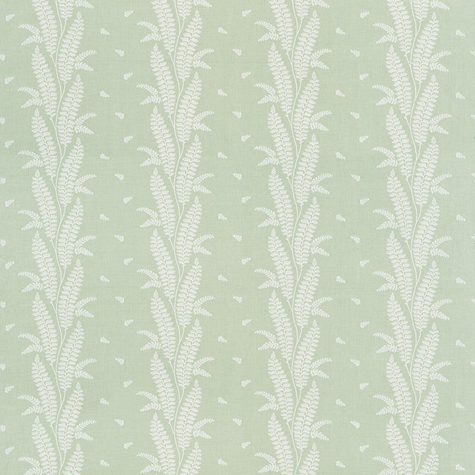 Ensbury Fern - F