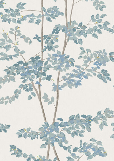 Beech