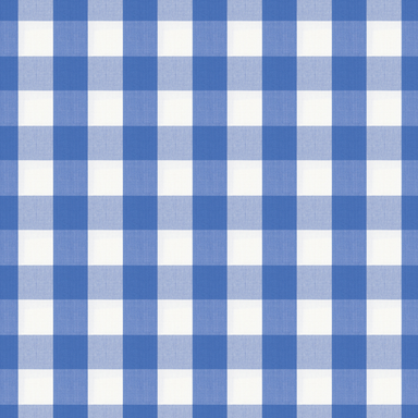 Exchequer Cotton Check - Cornflower