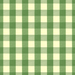 Exchequer Cotton Check - Jade