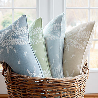 Ensbury Fern - F