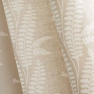 Ensbury Fern - F