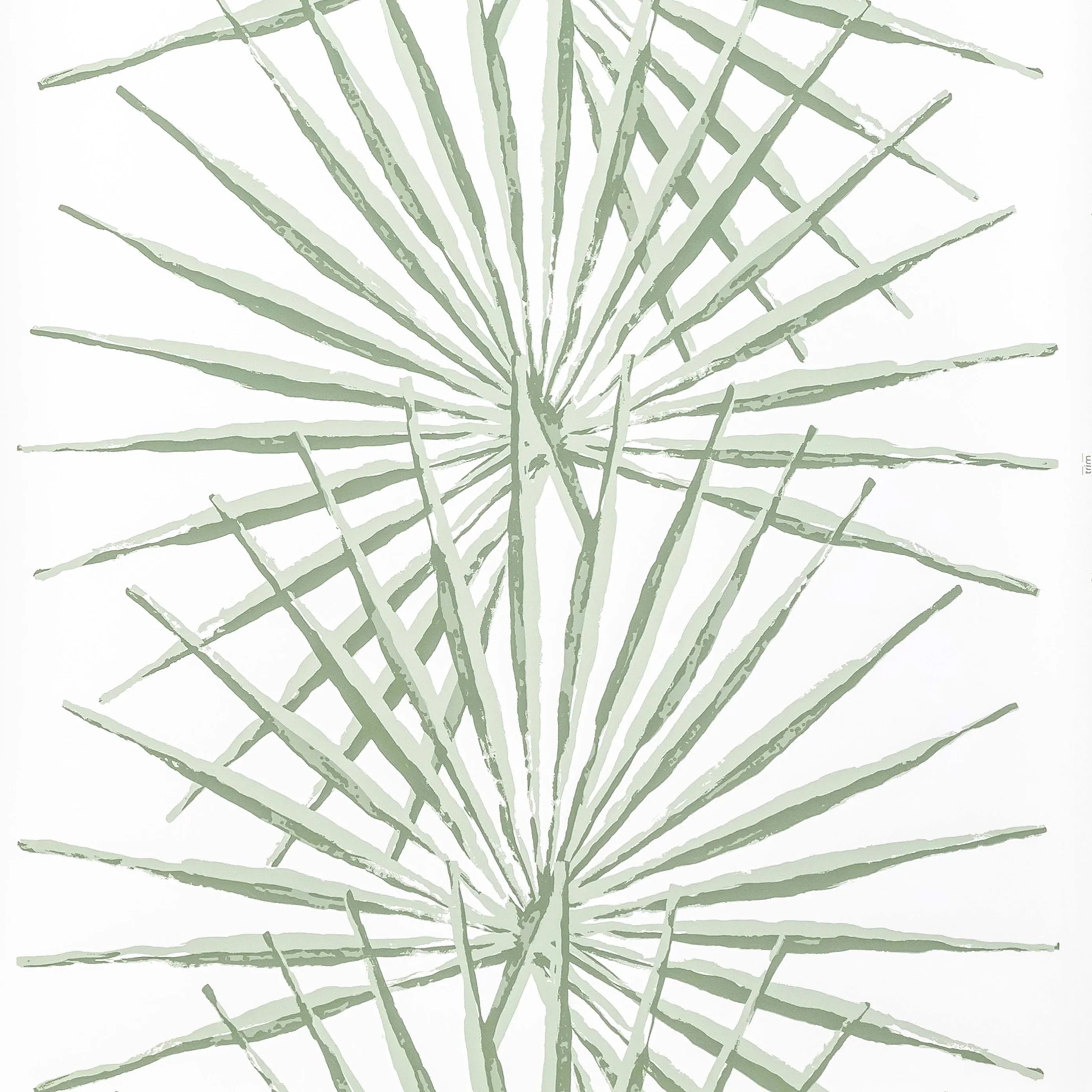 Palmetto Stripe - WP