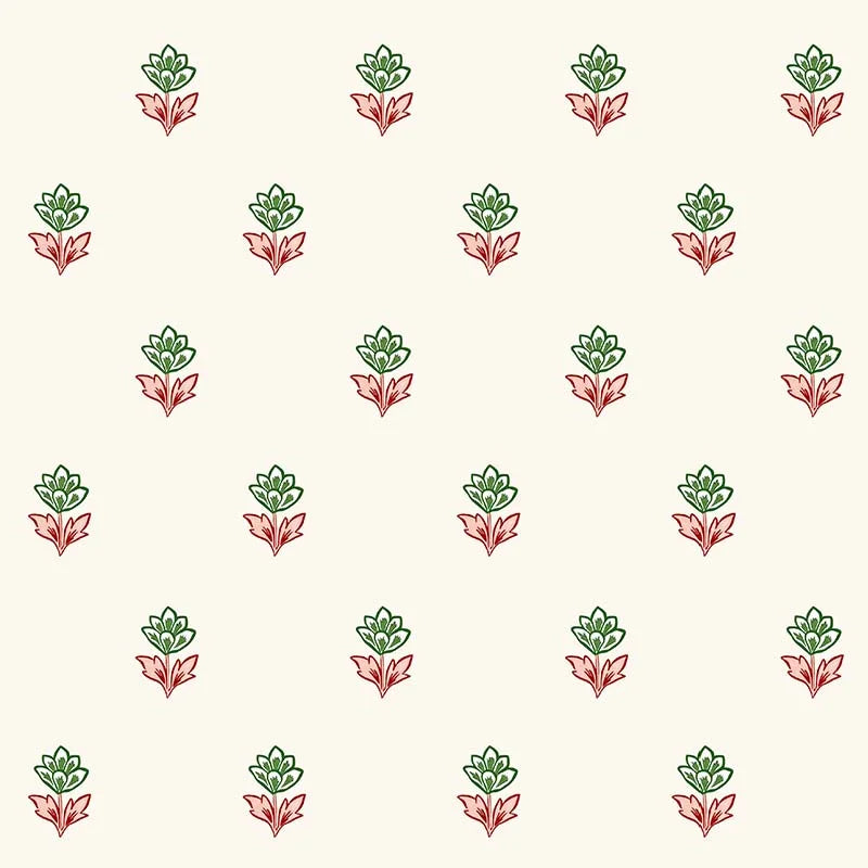 Indian Tulips - WP