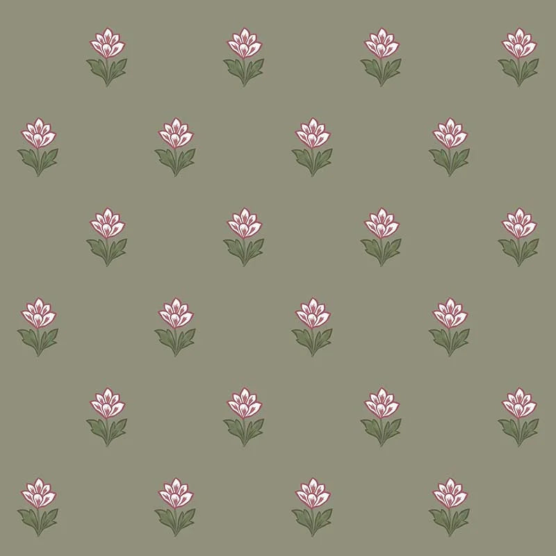 Indian Tulips - WP