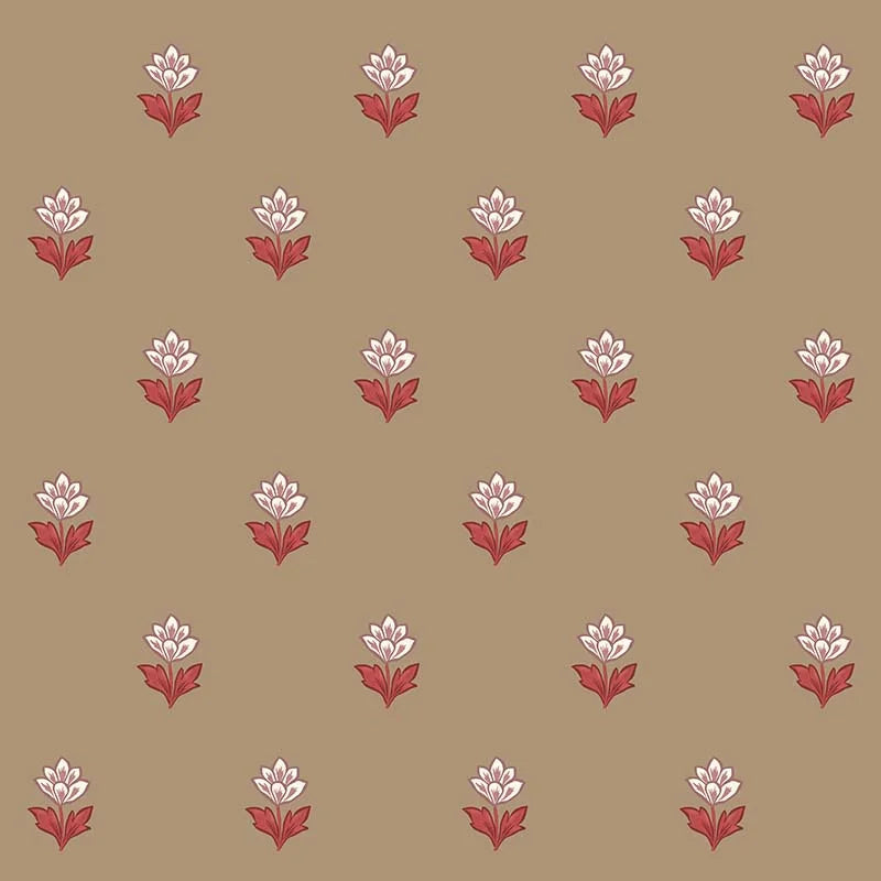 Indian Tulips - WP