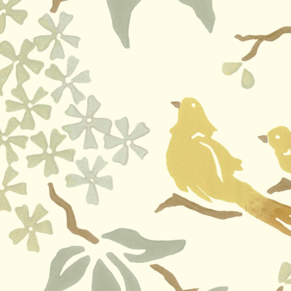 Birds - WP