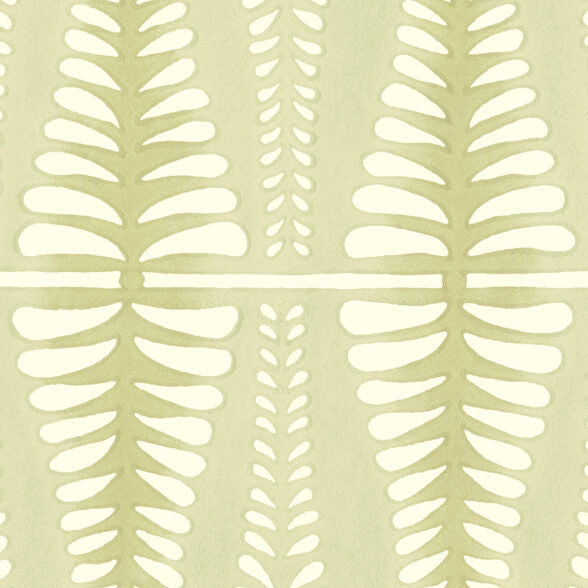 Fern - WP