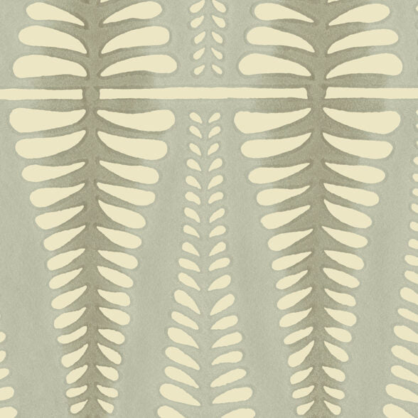 Fern - WP