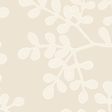 Smokebush - WP