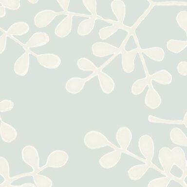 Smokebush - WP
